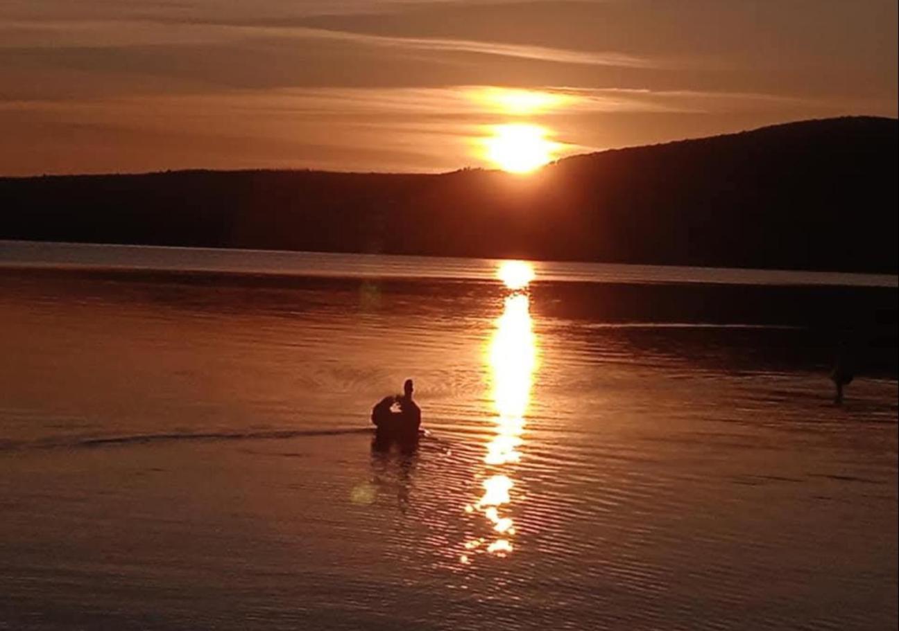 Dolce Lago Trevignano Romano Exteriér fotografie